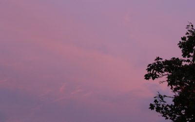 4. Sonntag im Advent