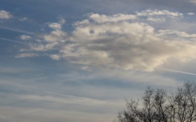 17. Sonntag nach Trinitatis