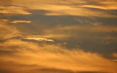 4. Sonntag nach Trinitatis
