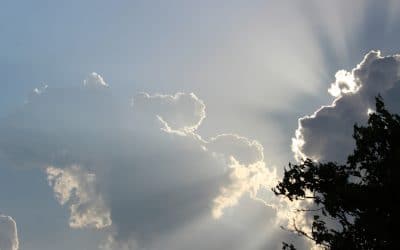 6. Sonntag nach Trinitatis