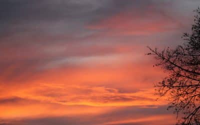 7. Sonntag nach Trinitatis