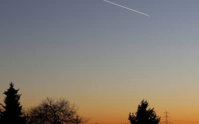 1. Sonntag nach dem Christfest