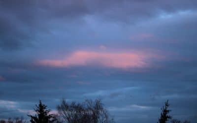 1. Sonntag nach Epiphanias