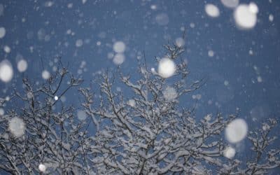 3. Sonntag nach Epiphanias